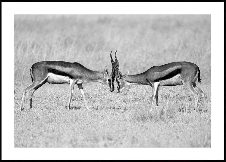 Plakat twarzą w twarz