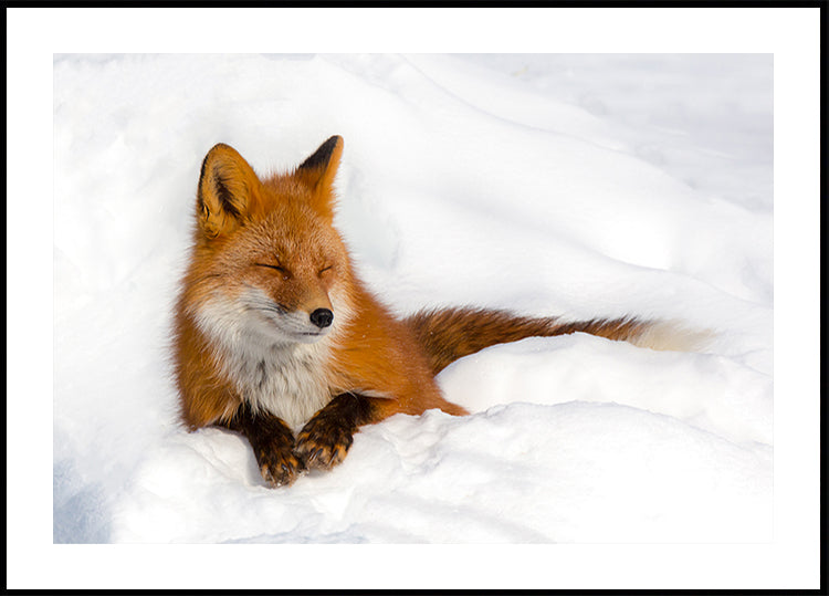 Plakat przyjemności