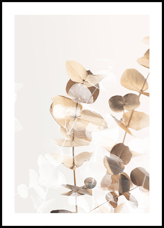 Plakat Eucalyptus Creative Gold 01