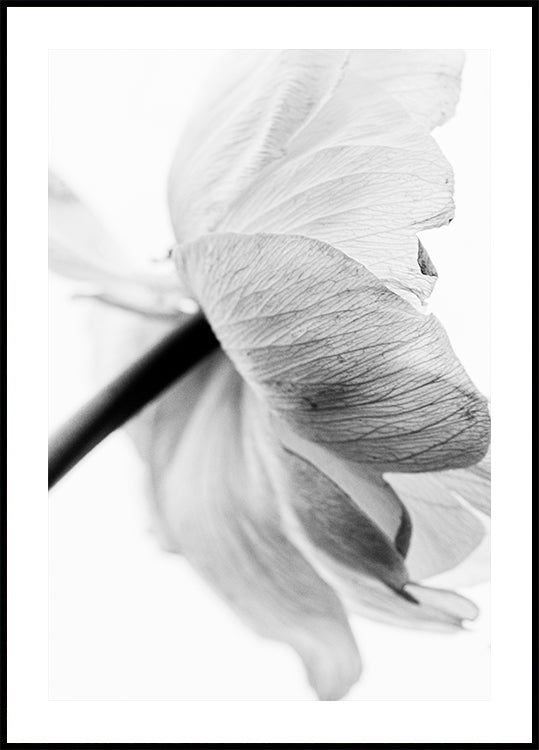 Plakat z kwitnącymi kwiatami