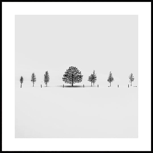 Together Alone Plakater