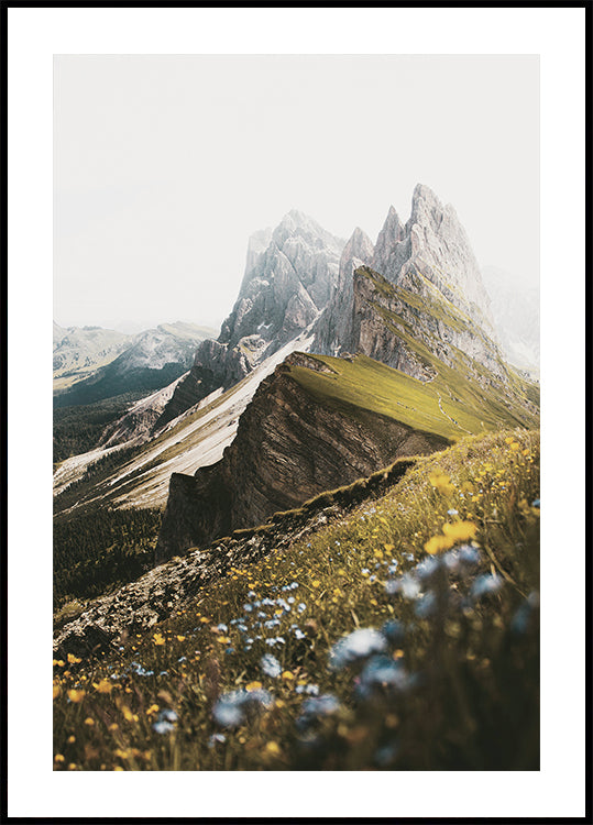 Flowers On The Mountain Plakat - Posterbox.dk