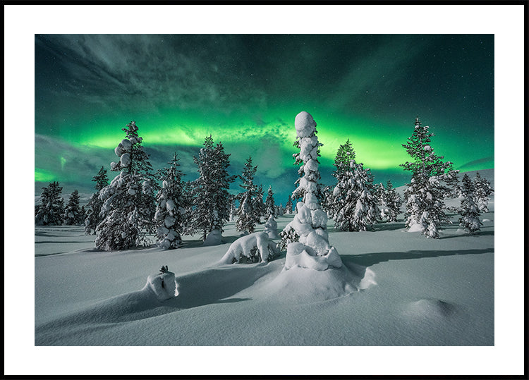 Plakat nocy polarnej