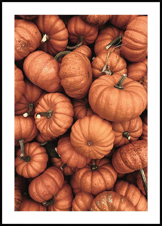 Warm Autumn Pumpkins Plakat - Posterbox.dk