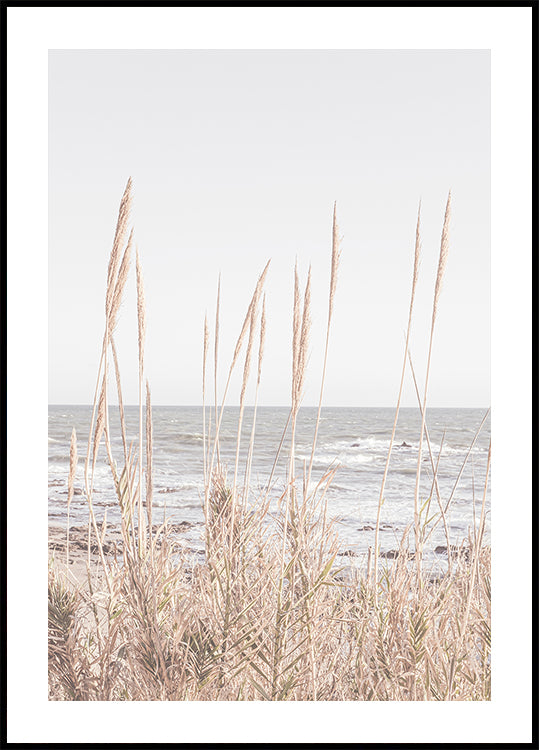 Plakat Beach_Vass_001