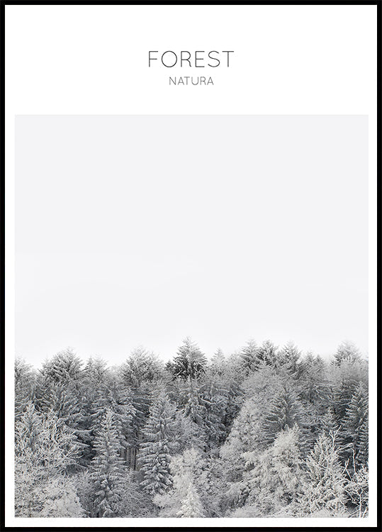 Mroźny spokój (NOWOŚĆ)