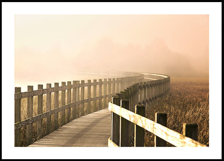Ścieżka staje się jaśniejsza.