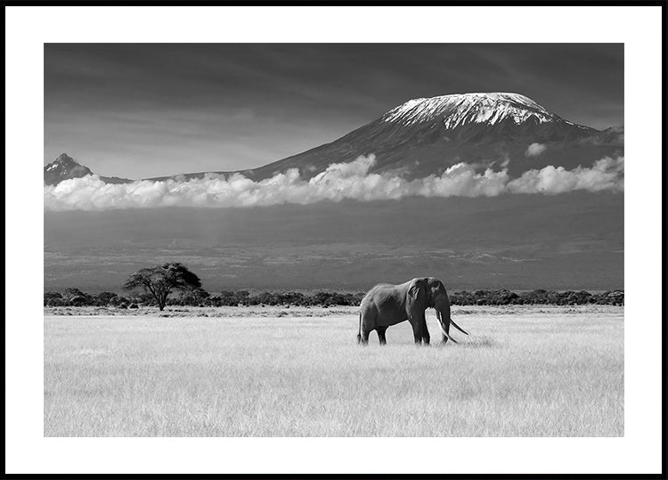 Plakat Utracone kolory II