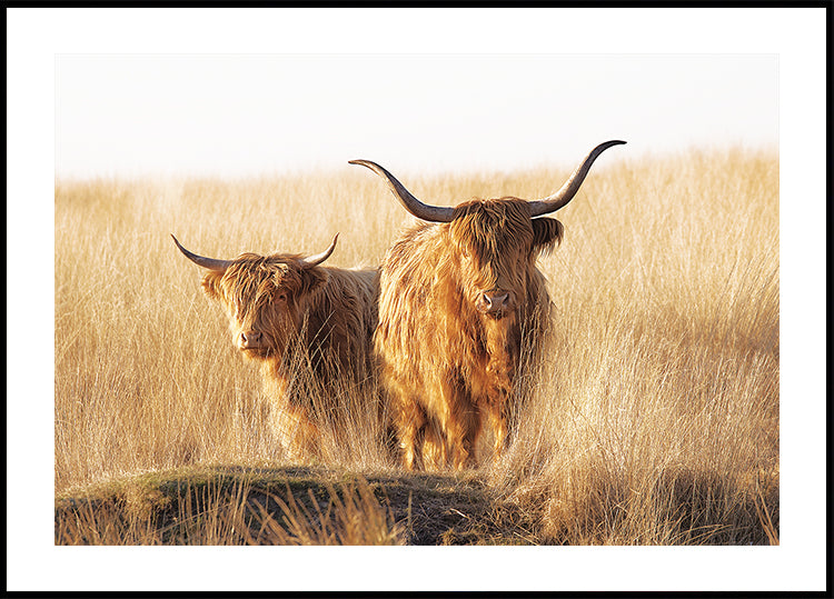 Plakat Młodego i Starego Górala