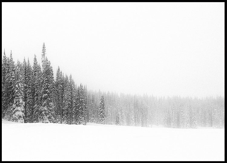 Plakat Las dla drzew