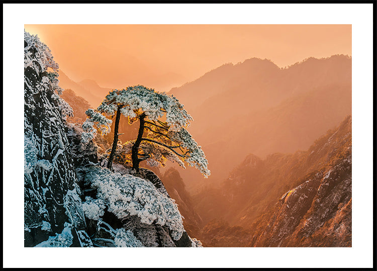 Plakat Odporność na krawędzi