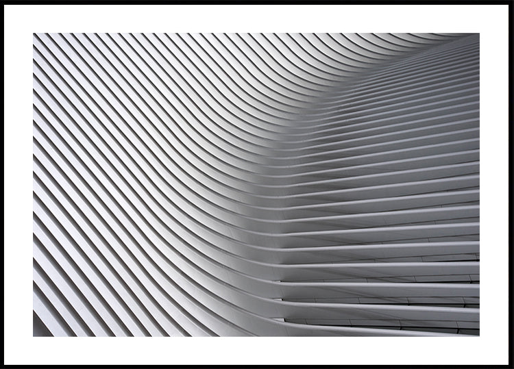 Plakat Calatrava Curves #2