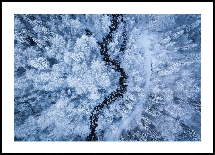 Plakat mrożącego zimna piękna