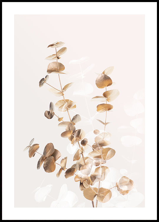Plakat Eucalyptus Creative Gold 03