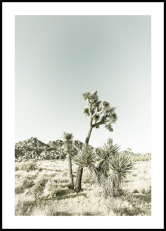 Plakat w stylu vintage z Parku Narodowego Joshua Tree