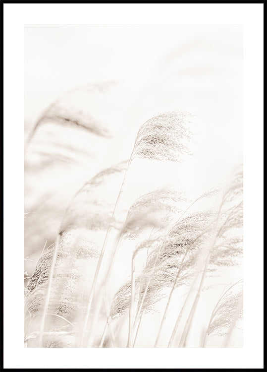 Plakat REED