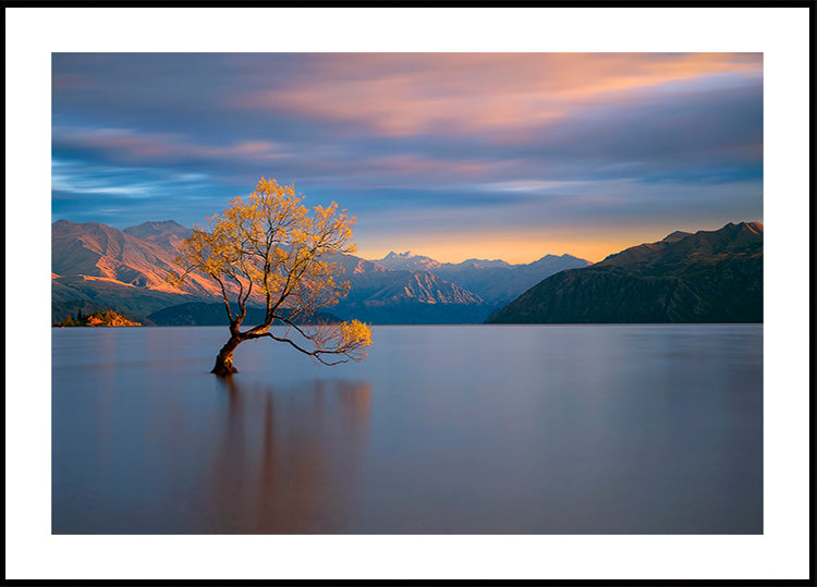 Plakat o porannym blasku