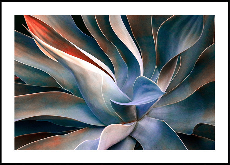 Plakat Kolory liści