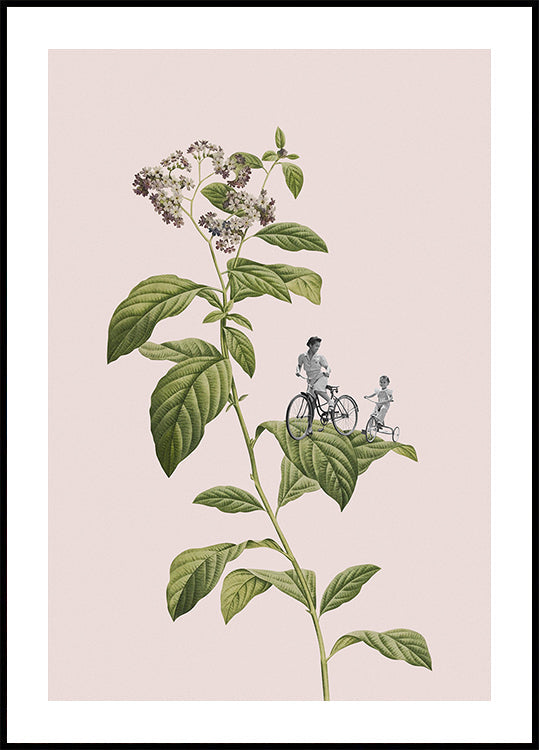 Kolarstwo botaniczne