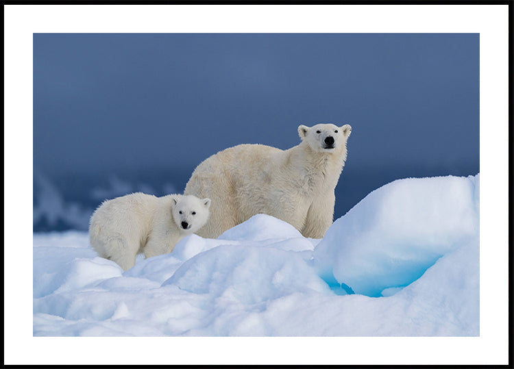 Plakat z mamą i dzieckiem