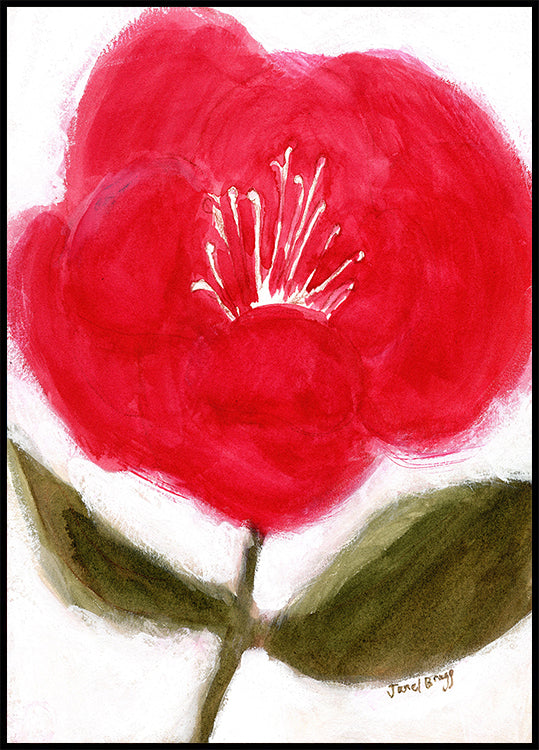 Kwiatowy w kolorze czerwonym dla plakatu Cierra