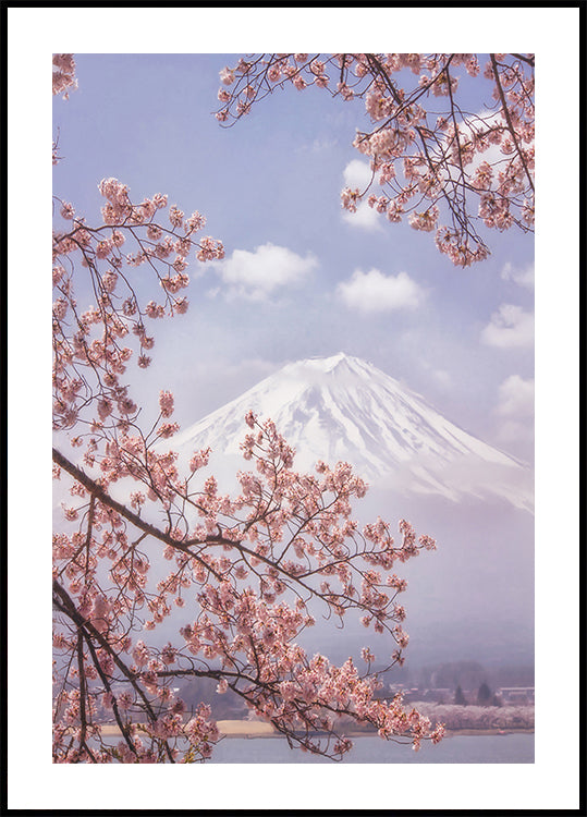 Plakat Mt.Fuji w kwitnącej wiśni