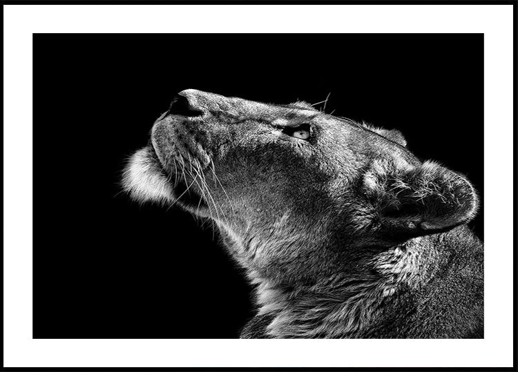 Patrząc w górę plakat