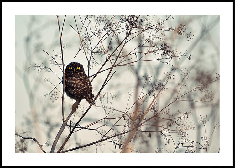 Spójrz na Mnie! Plakat