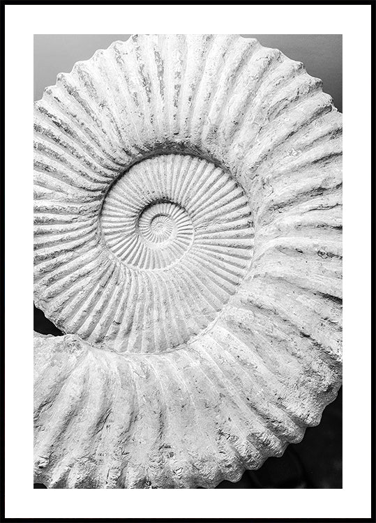 Starożytne spiralne sny