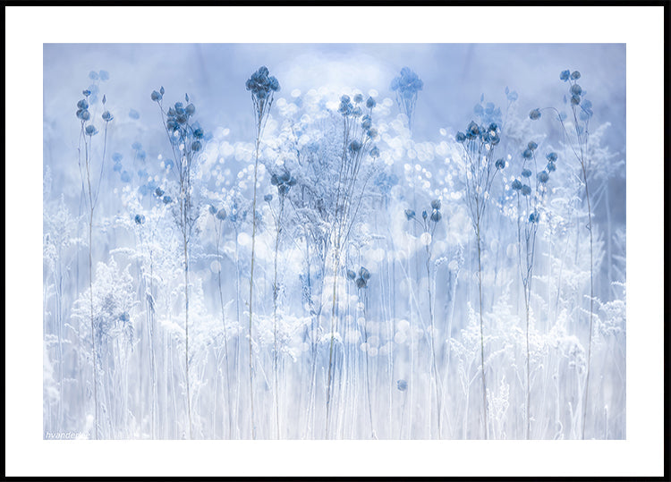 Icy blue Plakat