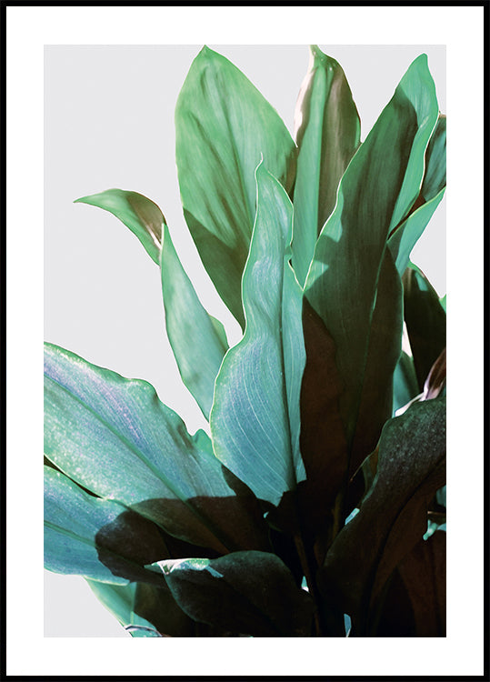 Green Leaves Plakat - Posterbox