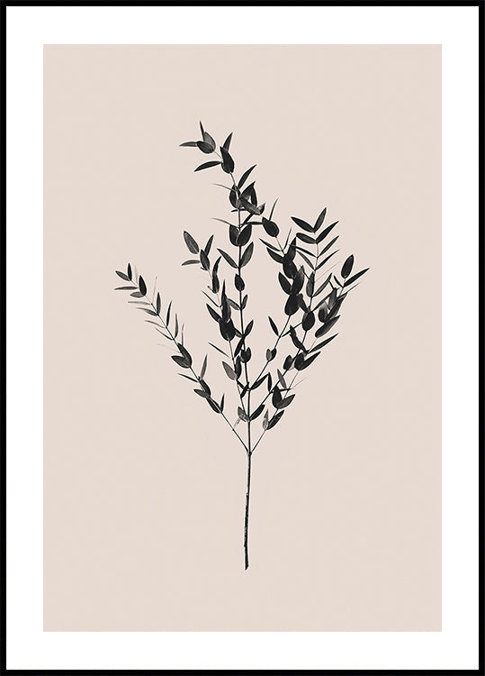 Atramentowy Botaniczny