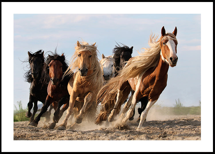 Plakat „Szczęśliwa szóstka”.