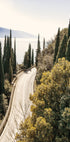 Road Along Lake Garda Plakat - Posterbox.dk