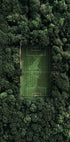 Soccer Field In The Forest Plakat - Posterbox.dk