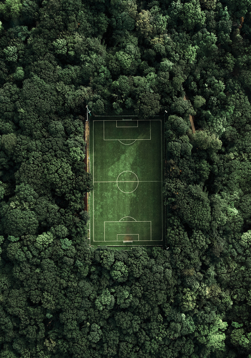 Soccer Field In The Forest Plakat - Posterbox.dk