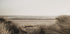 View Of The Beach From Behind The Grass Plakat - Posterbox.dk