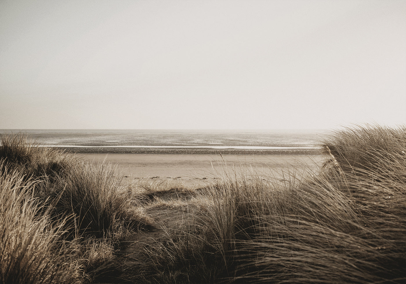 View Of The Beach From Behind The Grass Plakat - Posterbox.dk