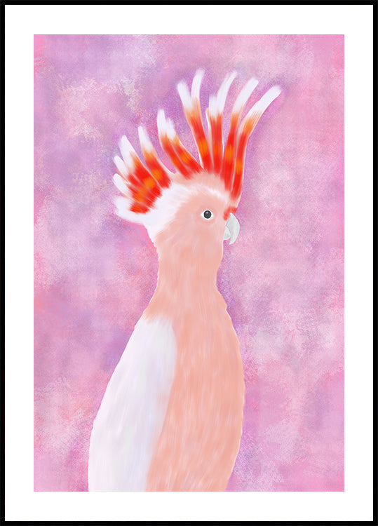 Pink Cocatoo Bird (NEW) - Posterbox