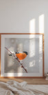 Bullfinch in a snowstorm Plakater - Posterbox