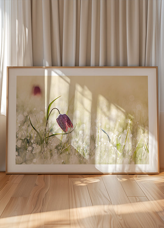 Morningdew - Posterbox