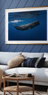 Sperm whale - Posterbox