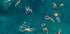 Blue water swim Plakat - Posterbox