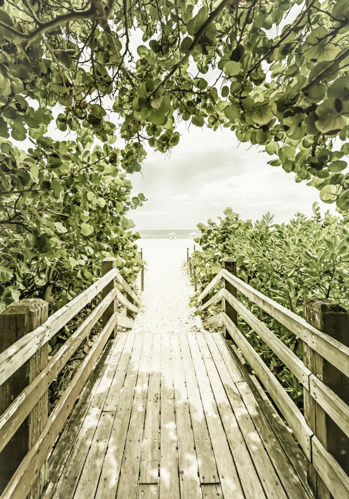 Tropikalna ścieżka plażowa