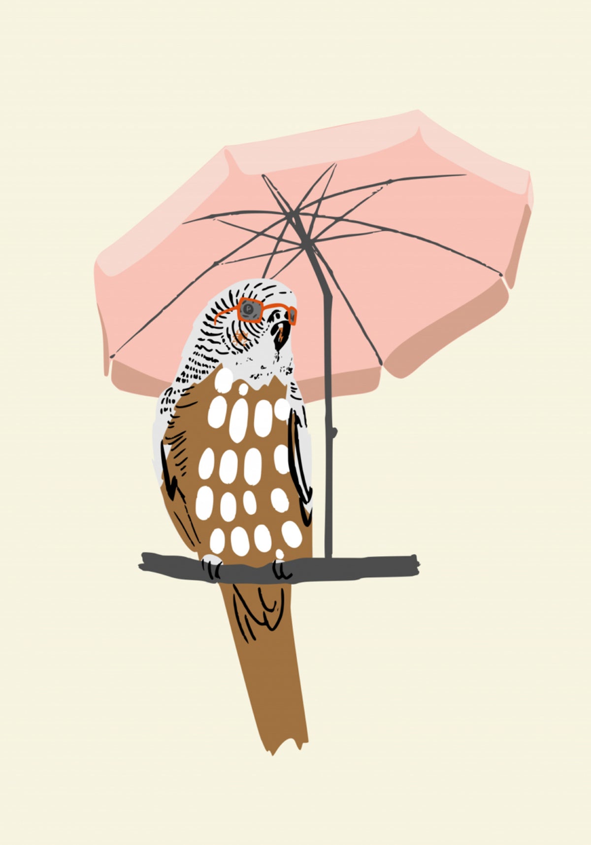 Różowy parasol papugi