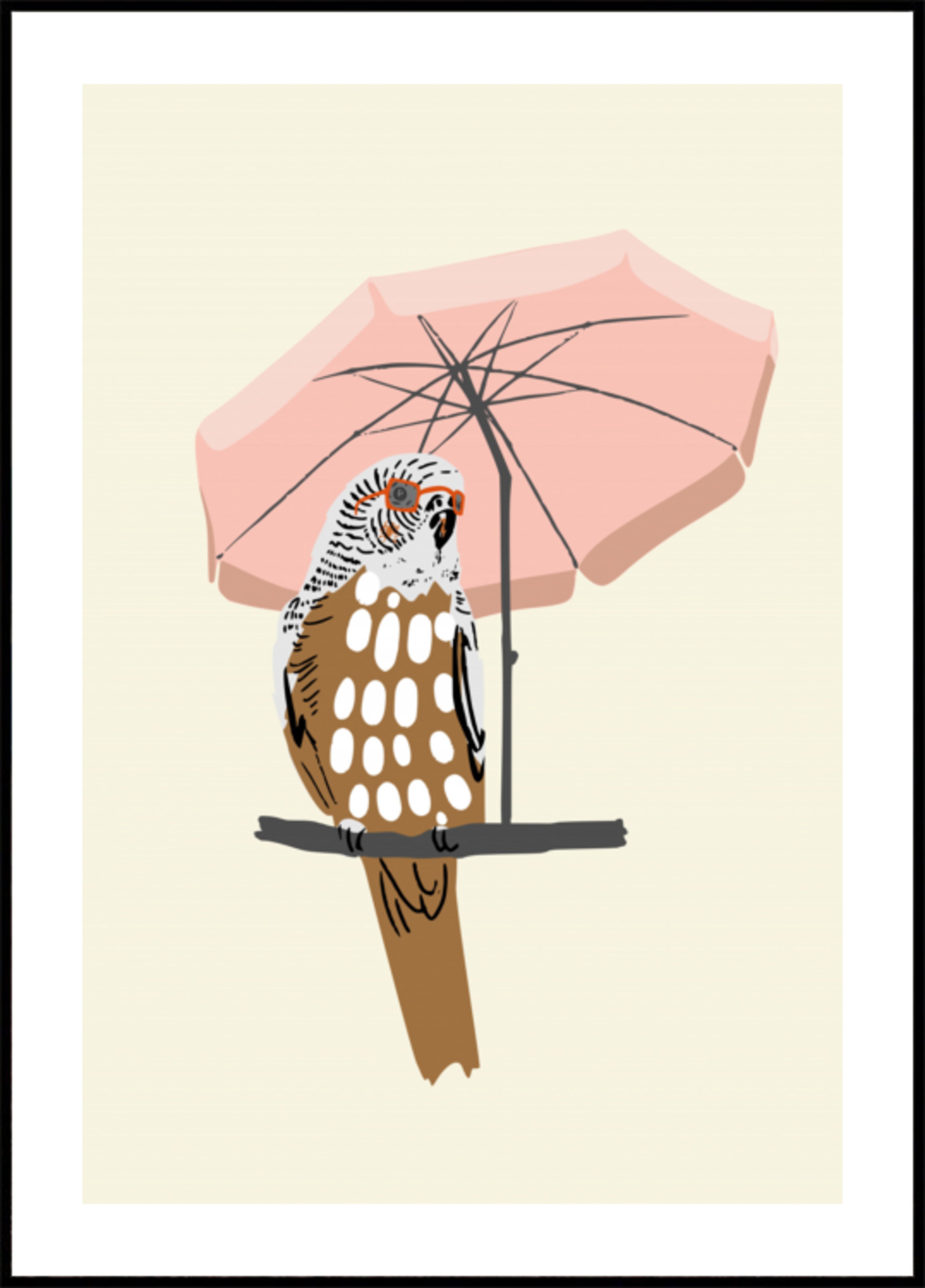 Różowy parasol papugi