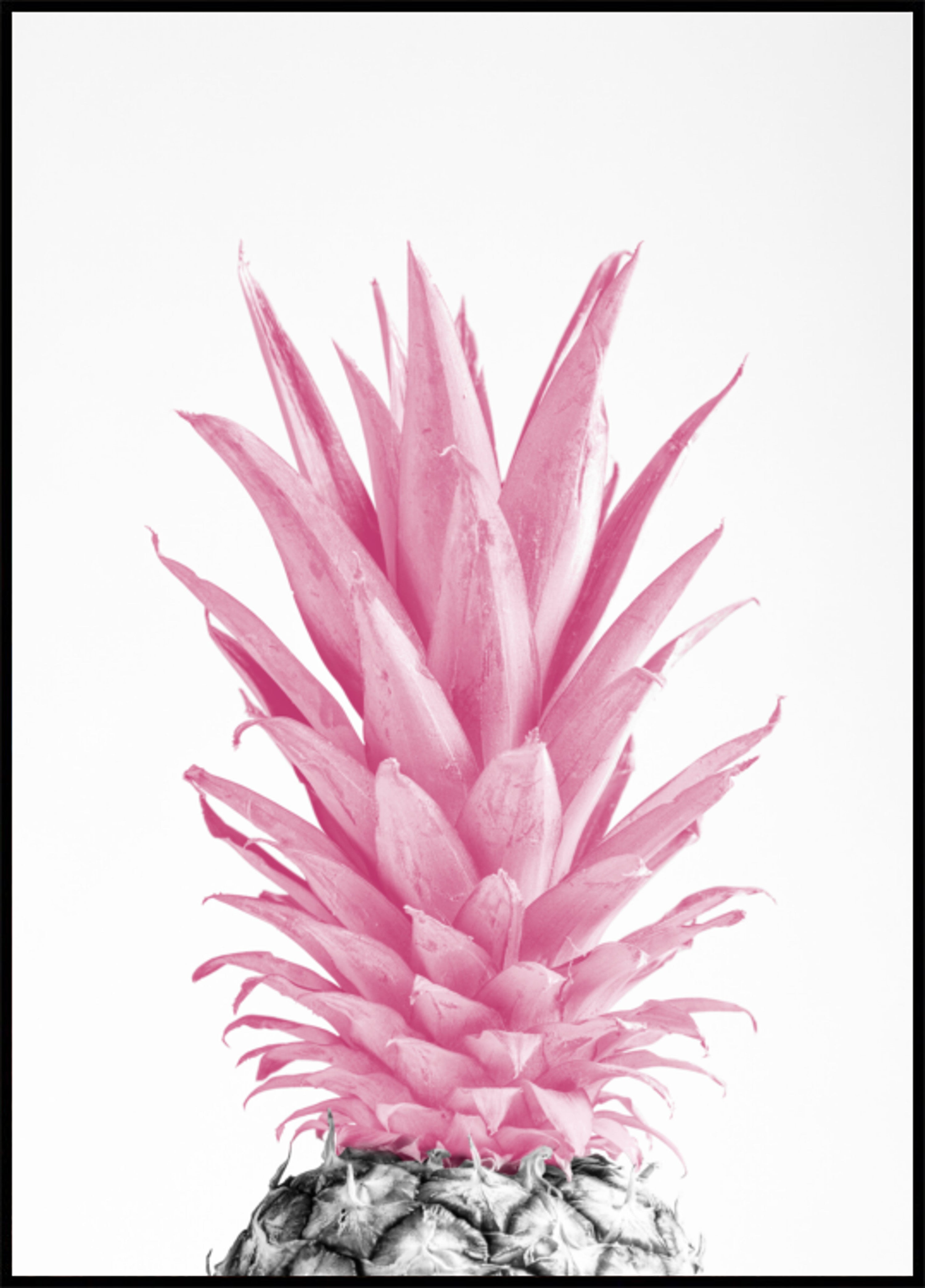 Tropikalny różowy ananas