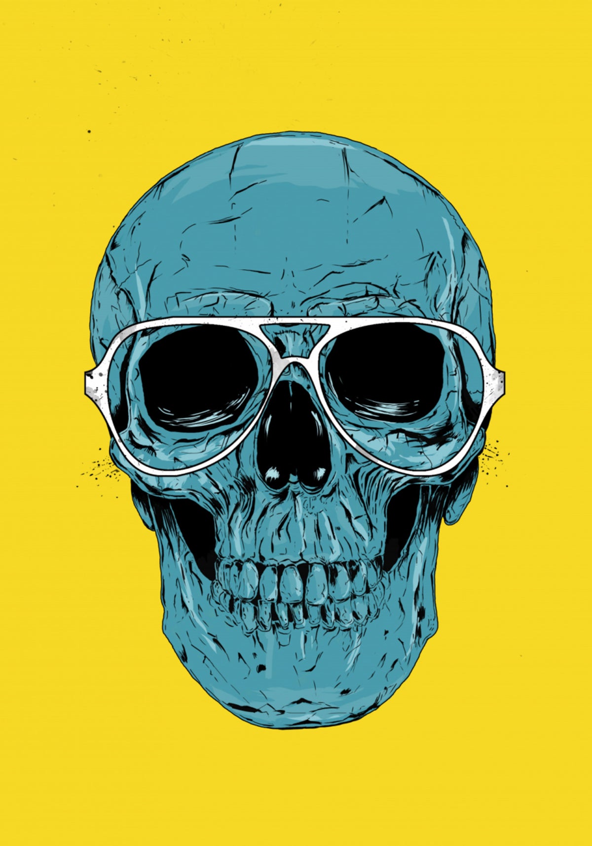Fajne lotniki Skull