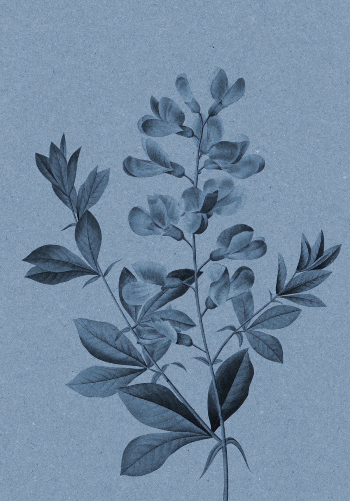 Elegancki niebieski botaniczny