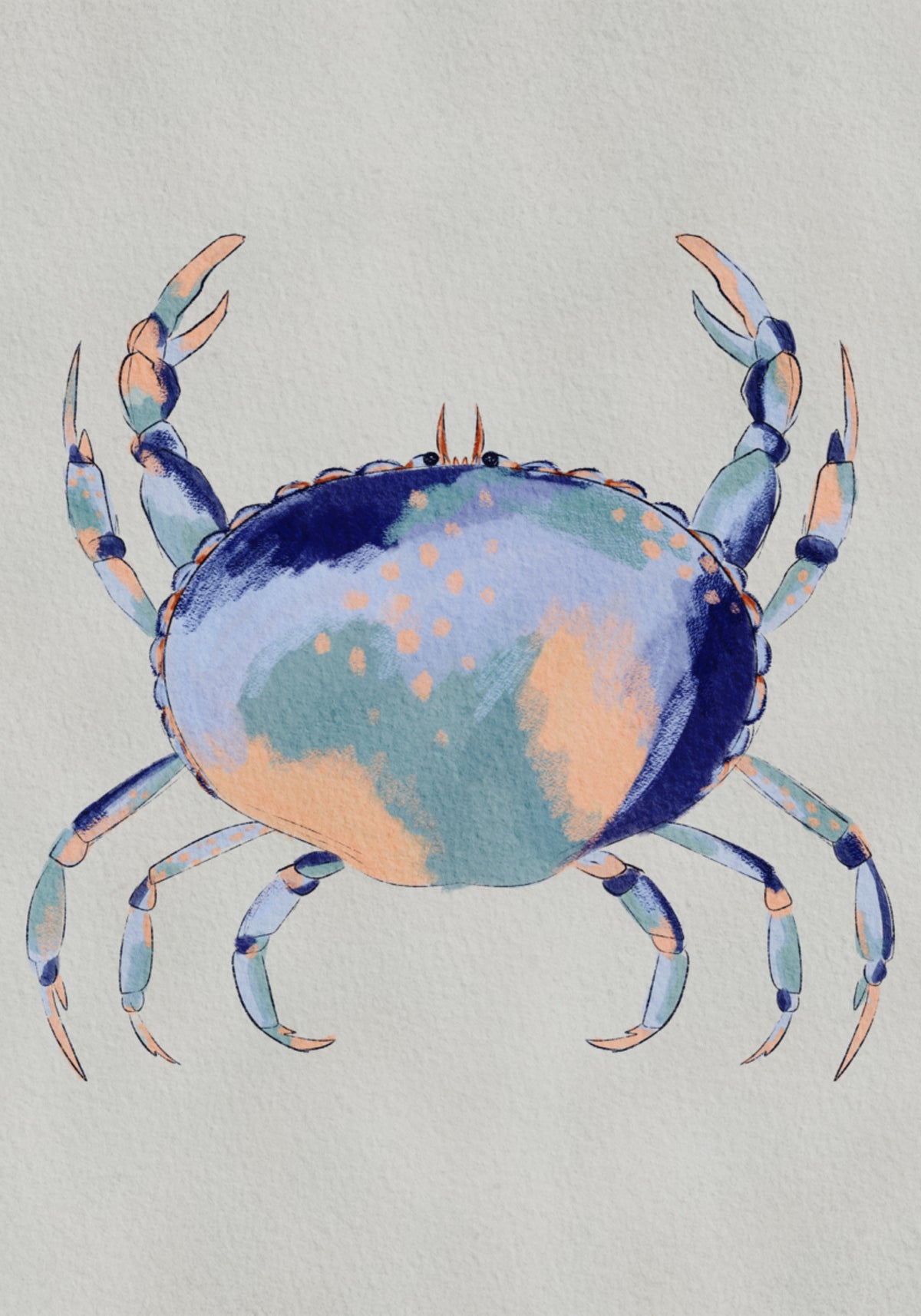 Spokojny Niebieski Krab